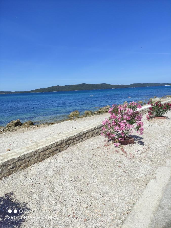 Apartmani Lana Šibenik Dış mekan fotoğraf